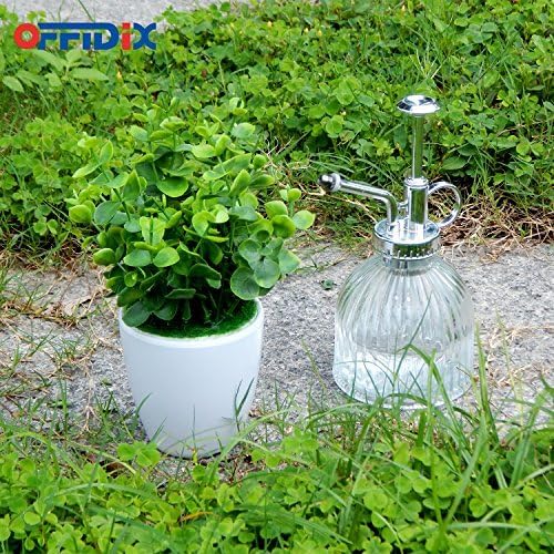 OFFIDIX Plant Spray Bottle Glass Mister Transparent Spritzer ﻿ ﻿ ﻿ - Image 4