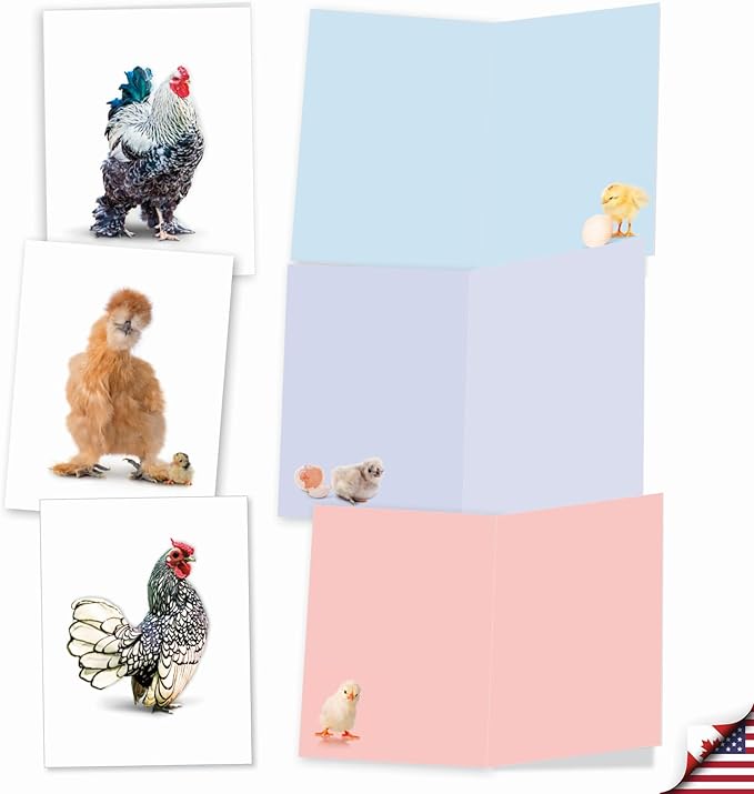 The Best Card Company - 20 Blank Birds Notes with Envelopes - All Occasion Chicken Assortment (10 Designs, 2 Each) - Exotic Roosters AM7059OCB-B2x10