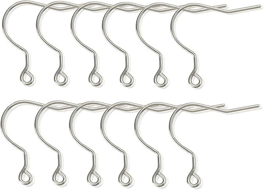 12pcs 20G Big Pure Titanium Earring Fish Hooks DIY Earrings Findings for Jewelry Making, Hypoallergenic Earring Hooks Making Kit for Women Men Sensitive Ears