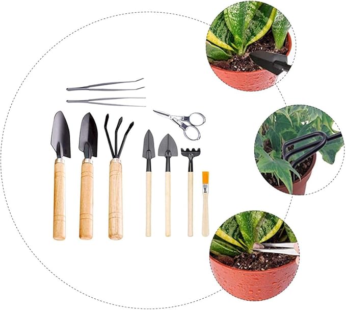 10pcs Succulent Gardening Tool Set for Miniature Planting and Bonsai with Wooden Handles, Indoor Potting Hand Tools Kit for Transplanting Flowers and Cactus