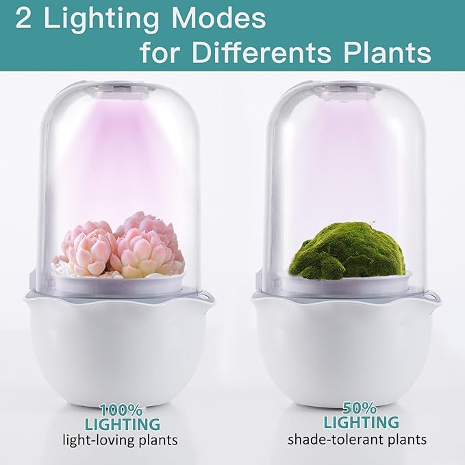 Venus Fly Trap Terrarium Pot with Timer Grow Light&Fan,Plant Terrarium kit for Moss&Cactus,Smart Planter for Carnivorous Plants&Butterwort,Valentine Birthday Gifts for Women Garden Lover(no Plant)