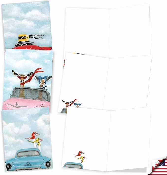 The Best Card Company Assorted Blank Greeting Card Box Set - Incl. 20 Cards + Envelopes - 10 Unique Designs - Perfect for Thank Yous, Invitations, More - Driving Divas AM9276OCB-B2x10