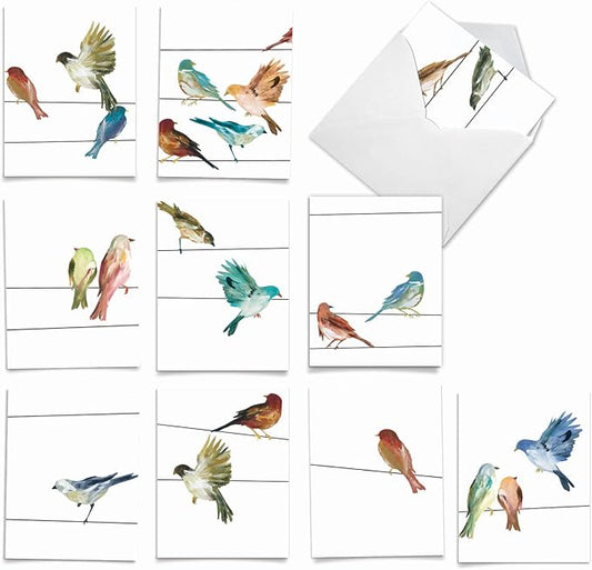The Best Card Company - 10 Bird Note Cards Blank (4 x 5.12 Inch) - All Occasion Cards with Envelopes, Boxed Set - High Wire Birds M3318