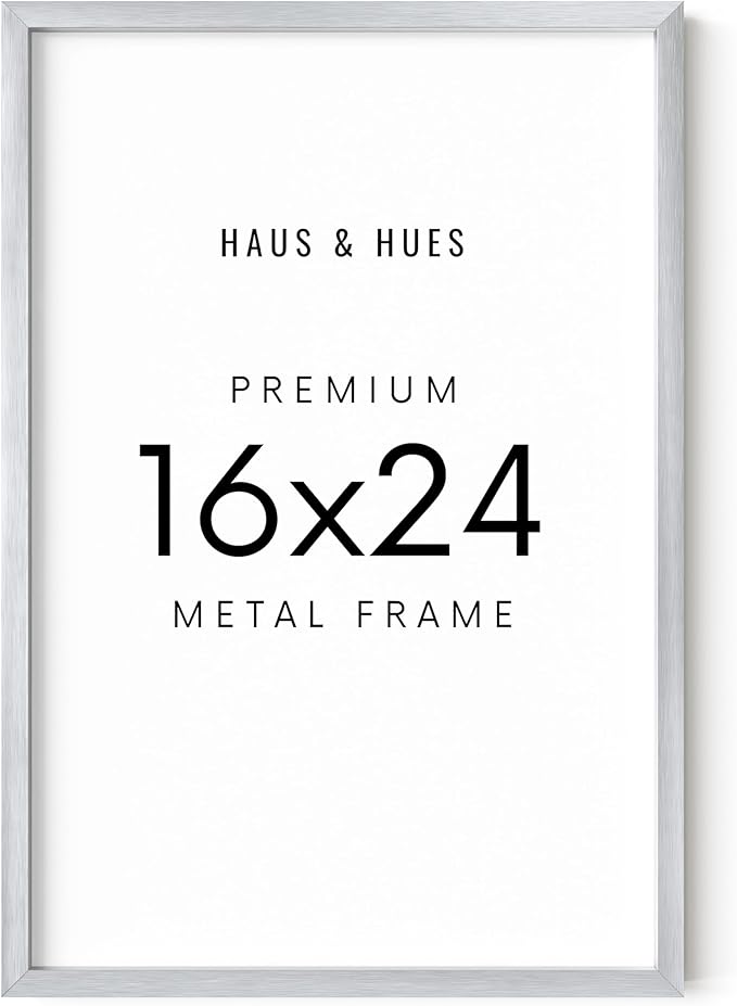 HAUS AND HUES Standalone Silver Aluminum Frame Set of 1-16x24