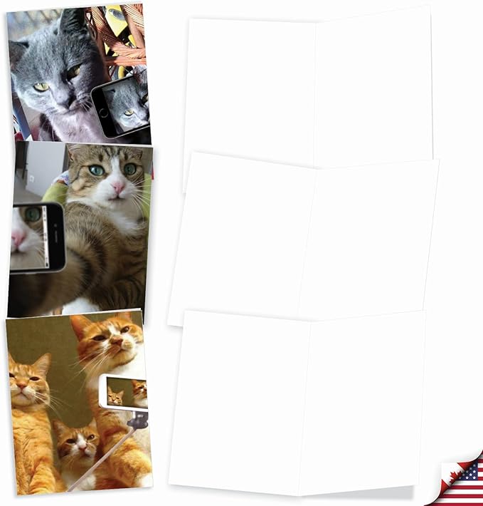 The Best Card Company - 10 Adorable Blank Cat Cards (4 x 5.12 Inch) - Cute Pet Kittens, Assorted Bulk Notecard Set - Cats Selfie M4953OCB-B1x10-NB