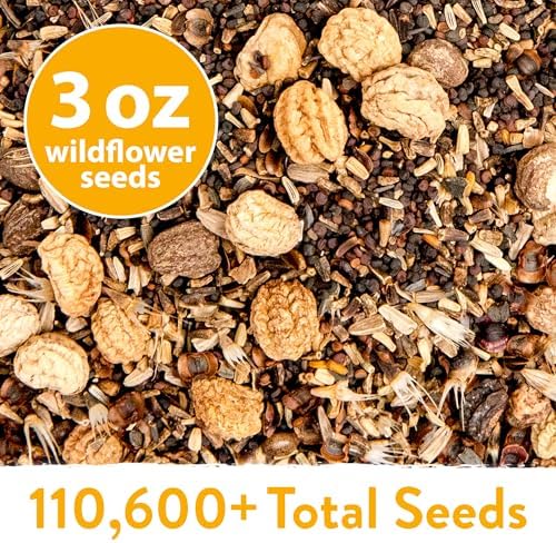 HOME GROWN 21 Wildflower Variety Mix 110,600+ Flower Seeds 3 oz - Image 5
