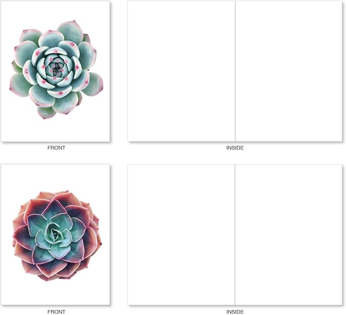 The Best Card Company - 20 Assorted Blank Plant Cards Boxed (4 x 5.12 Inch) (10 Designs, 2 Each) - Luscious Succulents AM6287OCB-B2x10