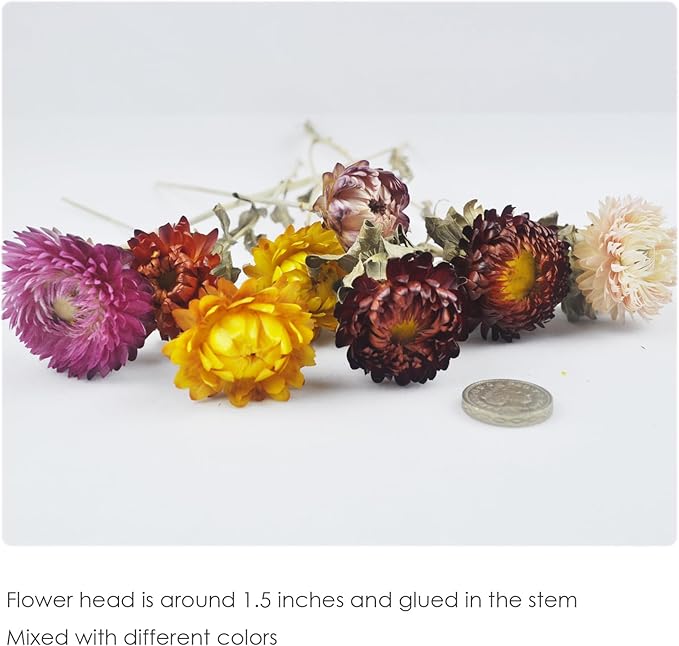 L'BREVOGA Dried Flowers with Stem, 36 PCS Strawflower Daisy in 16 inches, Dried Flower for Floral Arrangments Home Decoration (Strawflower Mix)