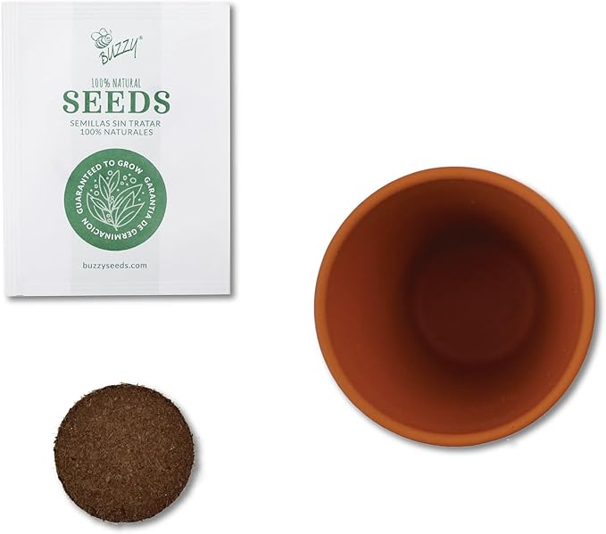 BUZZY Seeds Indoor Flower Starter Kit – Terracotta Mini Grow Pots for Kids & Adults, 6-Pack Love Collection – DIY Windowsill Gardening Kit, Wedding Favors, Party Favors, Bridal Shower Gifts