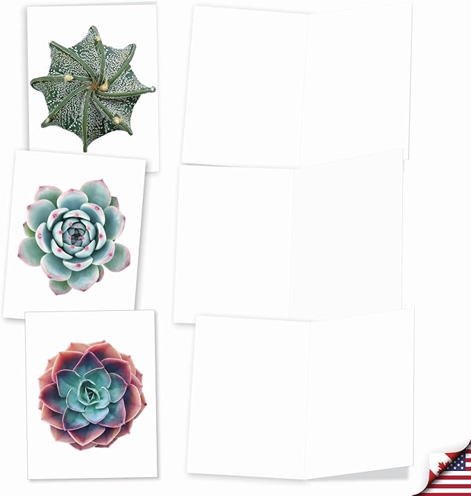The Best Card Company - 20 Assorted Blank Plant Cards Boxed (4 x 5.12 Inch) (10 Designs, 2 Each) - Luscious Succulents AM6287OCB-B2x10