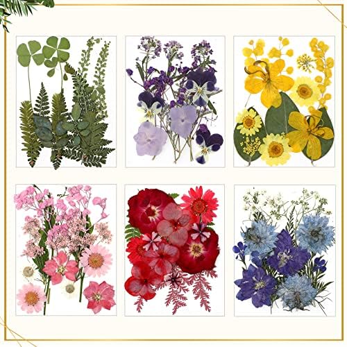 Bucherry 5 Pcs Glass Frame for DIY Pressed Flowers Art Brass Hanging Photo Picture Frame with Chain and 6 Styles Pressed Flowers Collage Glass Craft Frames for Wall Decor Display Gallery (Gold) - Image 4