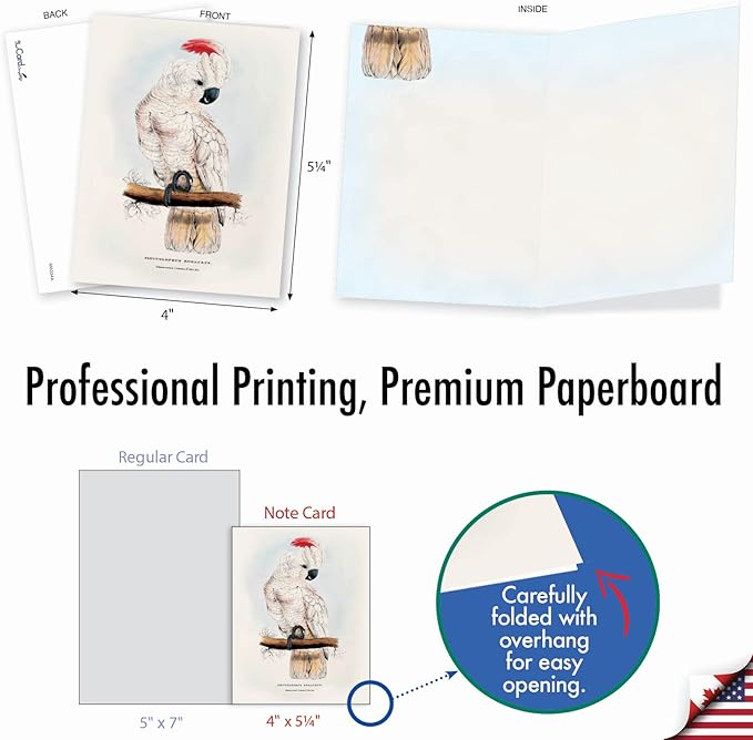The Best Card Company - 10 Assorted Blank Notecards Bulk Box Set 4 x 5.12 Inch with Envelopes (10 Designs, 1 Each) - Birds of a Feather M6034