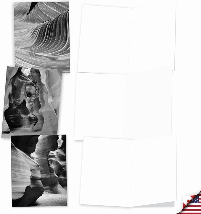 The Best Card Company - 10 Blank Note Cards with Envelopes (4 x 5.12 Inch) - Black & White Photos, Bulk Boxed Set - Free Forms M3310