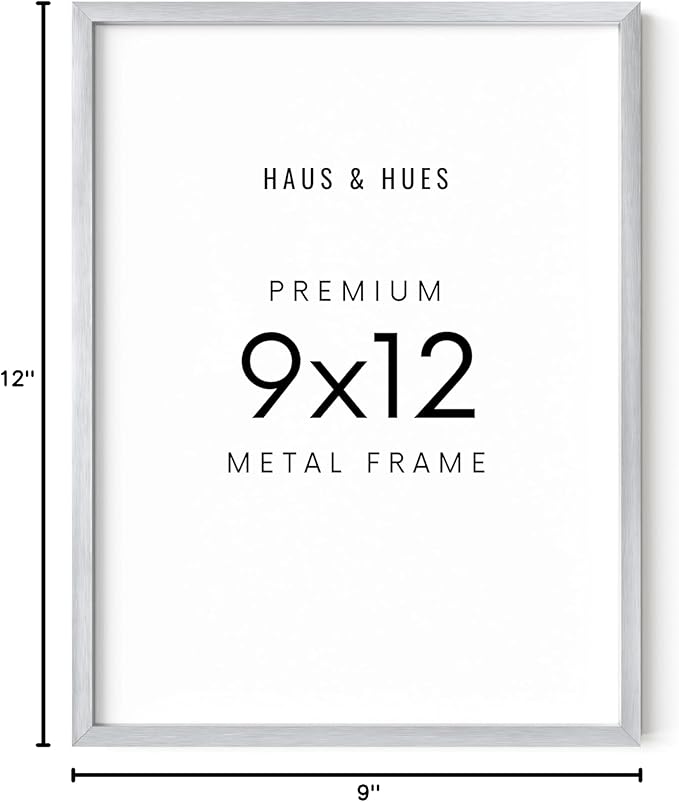 HAUS AND HUES 9x12 Silver Picture Frame - Modern Aluminum Display for Posters and Photos - Vertical & Horizontal Hanging (9x12 in, Silver)