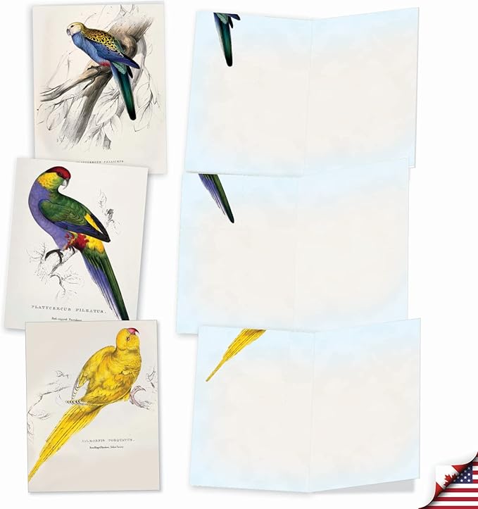 The Best Card Company - 10 Assorted Blank Notecards Bulk Box Set 4 x 5.12 Inch with Envelopes (10 Designs, 1 Each) - Birds of a Feather M6034