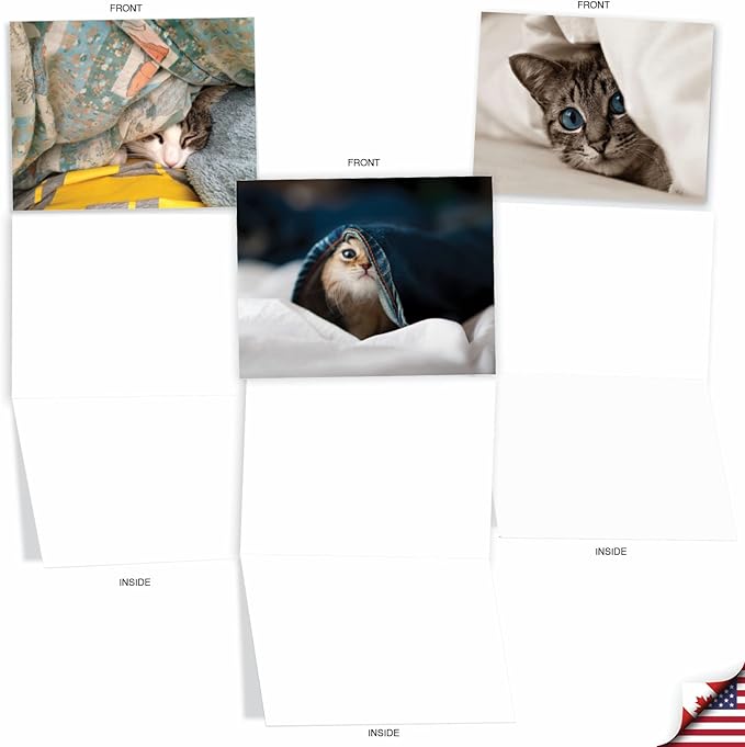The Best Card Company - 10 Adorable Blank Cat Cards (4 x 5.12 Inch) - Cute Pet Kittens, Assorted Bulk Notecard Set - Cat You See Me Now M1543BN
