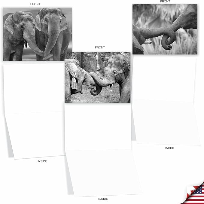 The Best Card Company - 10 Blank Note Cards with Envelopes (4 x 5.12 Inch) - Black & White Photos, Bulk Boxed Set - Trunks of Love M2370OCB