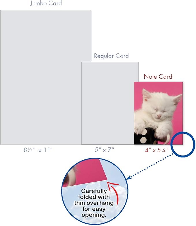 The Best Card Company - 10 Adorable Blank Cat Cards (4 x 5.12 Inch) - Cute Pet Kittens, Assorted Bulk Notecard Set - Cup-Cats M3969