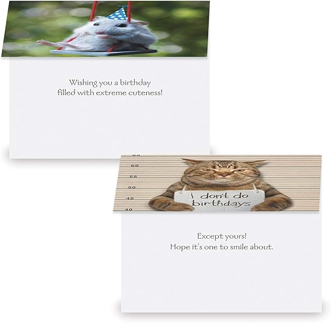 Current Kids Animal Photo Happy Birthday Greeting Card Set - Value Pack of 20 Cards for Kids With White Envelopes, 10 Designs, Large 5" x 7" Assortment