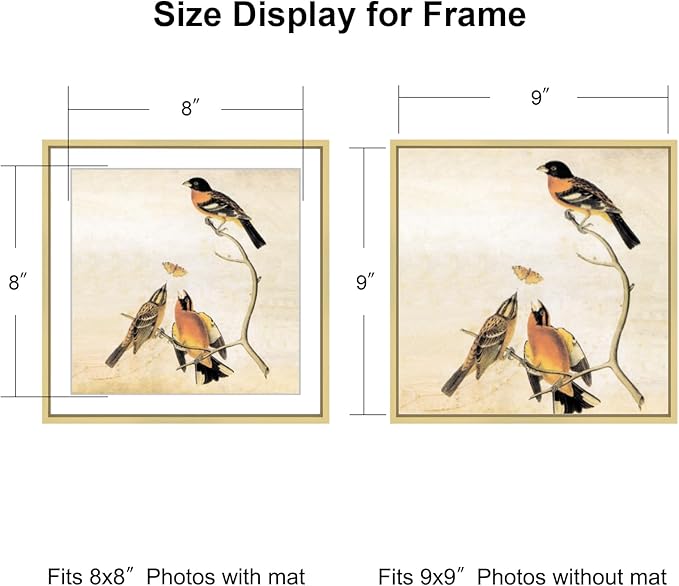 9x9 Picture Frame, Brass Metal Square Photo Frames with HD Glass, Fits 8x8 with Mat or 9 x 9 without Mat, Display for Wall and Table, 1 Pack