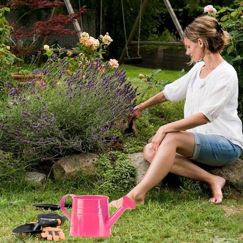 Watering Can Outdoor, 0.25 Gallon Metal Small Capacity Watering Can Indoor Plants with Sprinkler Head,Decorative Lightweight Durable Watering Cans for Garden Lawn Bonsai Greenhouse (Rose Red) - Image 4