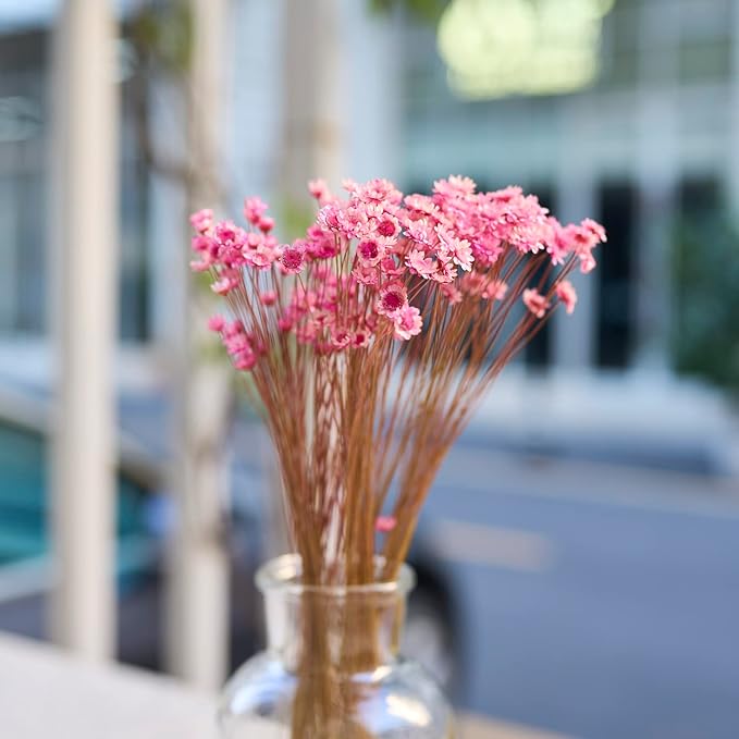 Natural - Dried - Flowers Brazilian Small Star Daisy Dried Decorative Mini Chamomile Bouquet for Wedding Floral Arrangements Home Decorations Valentine's Day Gifts (200 Stems) (Dark Pink)