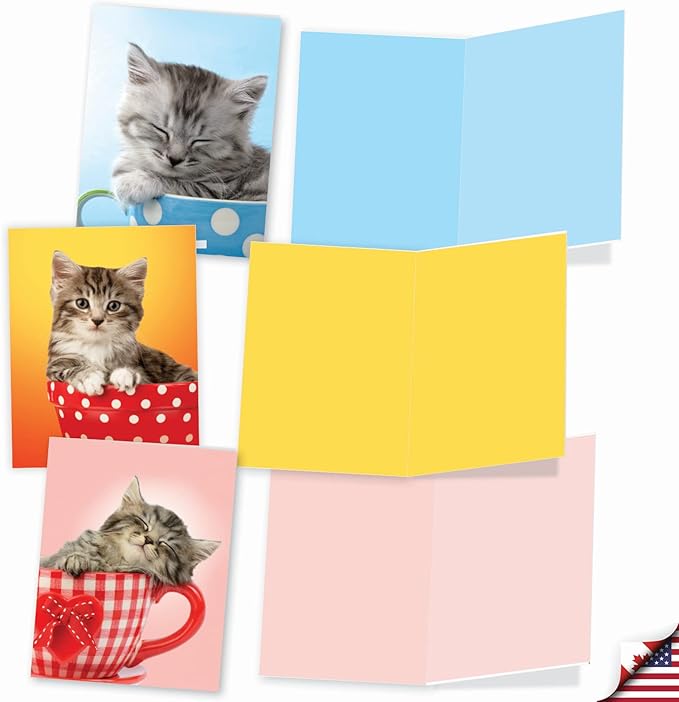 The Best Card Company - 10 Adorable Blank Cat Cards (4 x 5.12 Inch) - Cute Pet Kittens, Assorted Bulk Notecard Set - Cup-Cats M3969