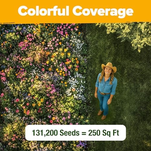 HOME GROWN Texas Wildflower Mix 131,200+ Flower Seeds 3 oz - Image 5