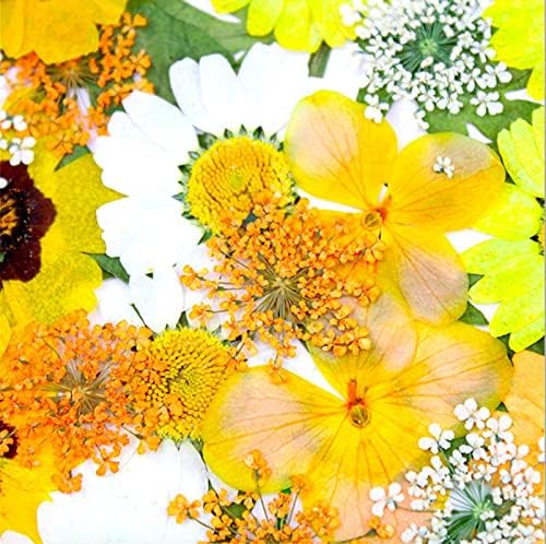 93 Pcs Yellow Dried Pressed Flowers Real Natural Leave Petals for DIY Resin Candle Jewelry Nail Crafts