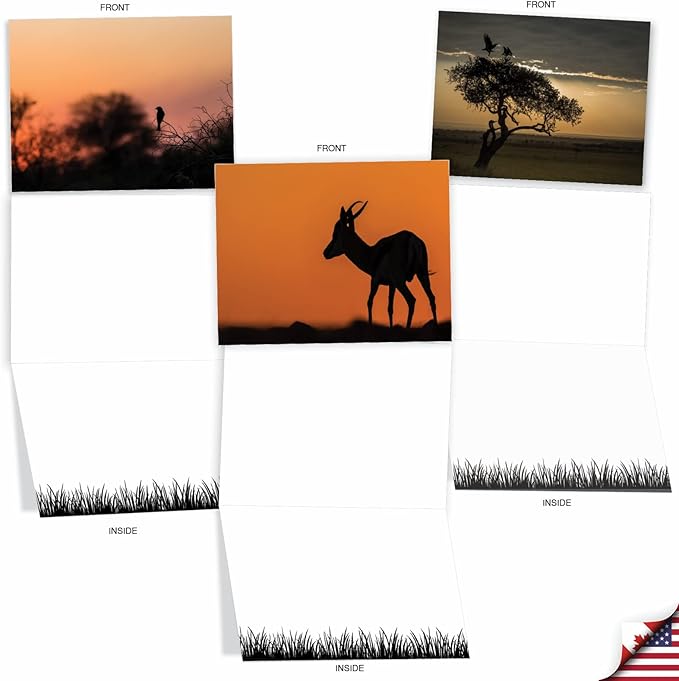 The Best Card Company - 10 Blank Animal Cards Boxed (4 x 5.12 Inch) - Assorted Pets, Zoo, Wildlife Cards for Kids - Safari Sunsets M6551OCB