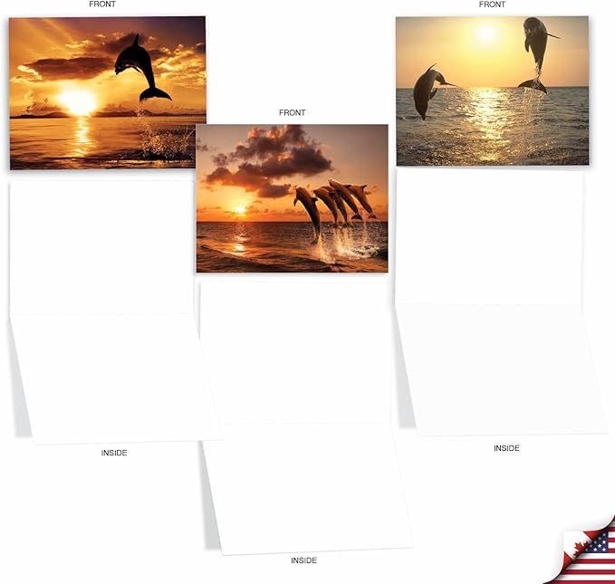 The Best Card Company - 10 Blank Animal Cards Boxed (4 x 5.12 Inch) - Assorted Pets, Zoo, Wildlife Cards for Kids - Sunset Dolphins M6460OCB-NB