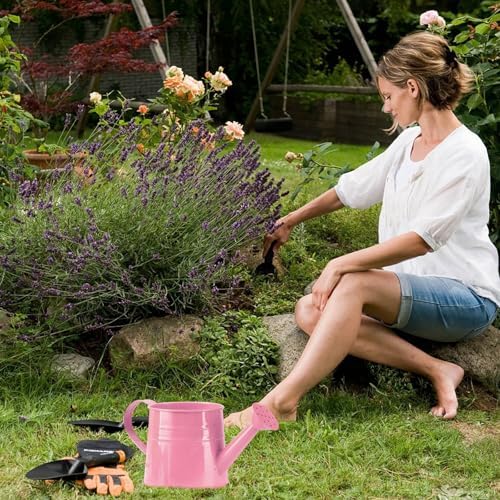 0.26 Gallon Plant Watering Can, Decorative Modern Lightweight Water Can for Plants with Sprinkler Head and Handle,Metal Small Leak Proof Indoor Watering Cans for House Plants Bonsai Gardening - Image 3