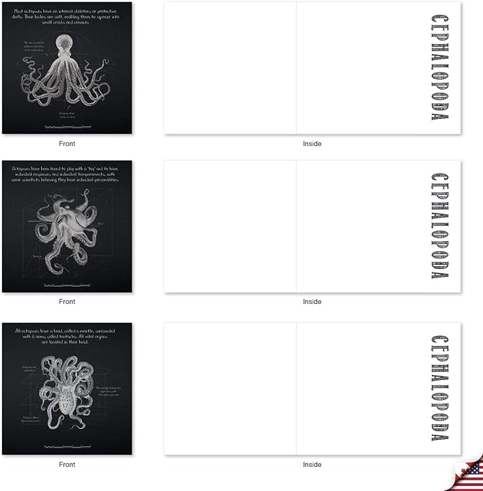 The Best Card Company - 10 Blank Note Cards with Envelopes (4 x 5.12 Inch) - Octopus Photos, Bulk Boxed Set - Octo-Facts MQ4957OCB-B1x10-NB