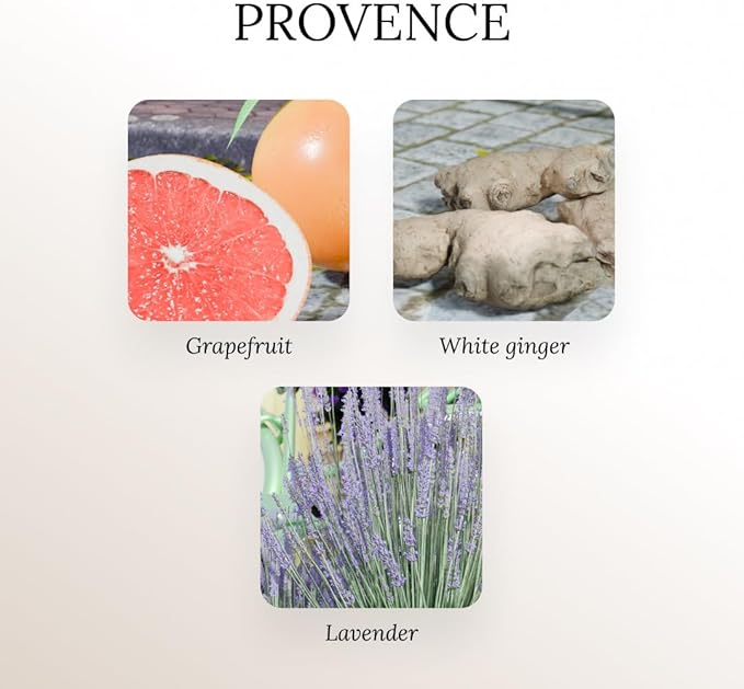 A U R A - Provence Fragrance Oil for Waterless Scent Diffuser - Inspired by L.Labo-Lavande 31 | (6.7 fl oz, 200 ml) Pure Essential Oil Blends for Aromatherapy Diffuser & Hotel Collection Oil Diffuser