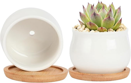 2 Pack Succulent Pots, 2.5 Inch Mini Ceramic Pots for Flower or Cactus Plants with Drainage Hole,Plants Not Included (White)