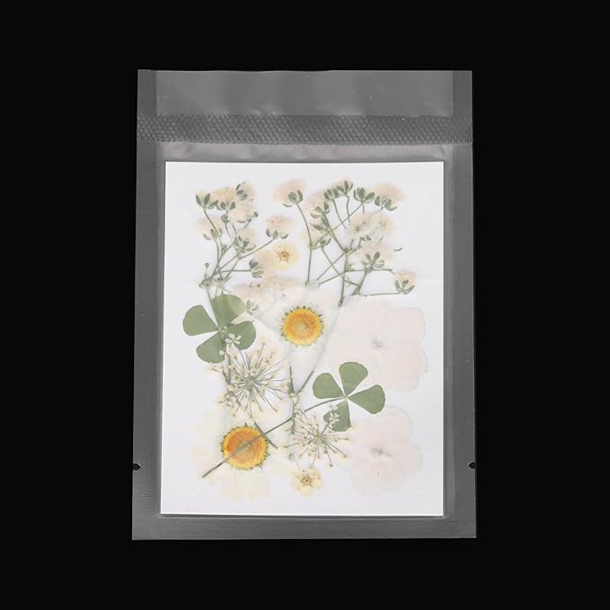PATIKIL Dried Pressed Flowers, Real Dry Leaves Pressed Bloom for Scrapbook Supplies Card Making Resin Jewelry Making Soap Candle DIY Crafts, White