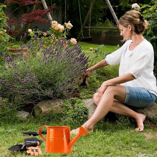 Watering Can Outdoor, 0.25 Gallon Metal Small Capacity Watering Can Indoor Plants with Sprinkler Head,Decorative Lightweight Durable Watering Cans for Garden Lawn Bonsai Greenhouse (Orange) - Image 4