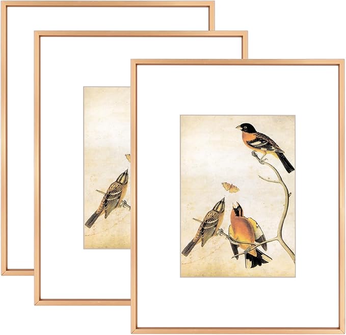 8.5x11 Picture Frame Set of 3, Gold Metal Photo Frames with HD Glass, Fits 5x7 with Mat or 8.5x11 without Mat, Wall Hanging and Table Display