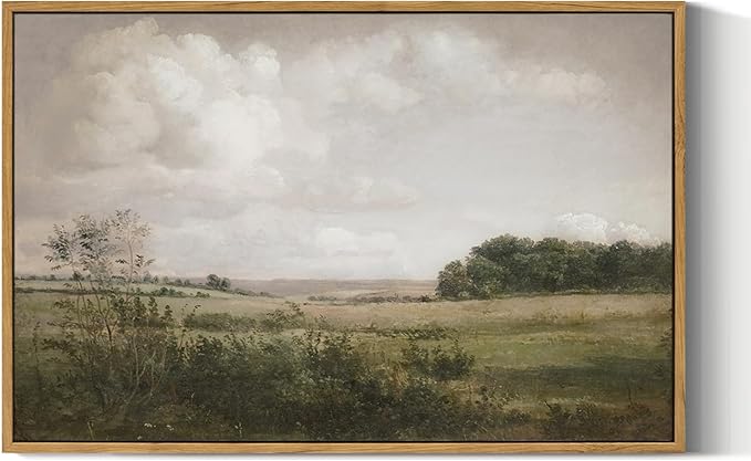 VIYYIEA Nature Large Framed Wall Art, Wilderness Vintage Art Decor Room Aesthetic, 16X24 Inch Canvas Print Artwork, Farmhouse Landscape Painting Wall Decor for Bedroom Bathroom Office