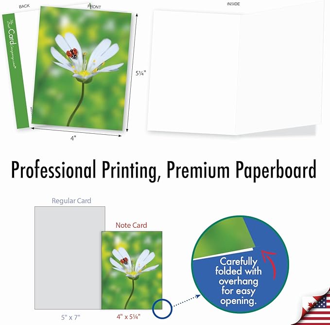 The Best Card Company - 10 Blank Note Cards for Men and Women (4 x 5.12 Inch) - Fun Pets, Zoo, Wildlife Cards, Assorted Greetings Boxed - My Fair Ladybug AM6332OCB-B1x10