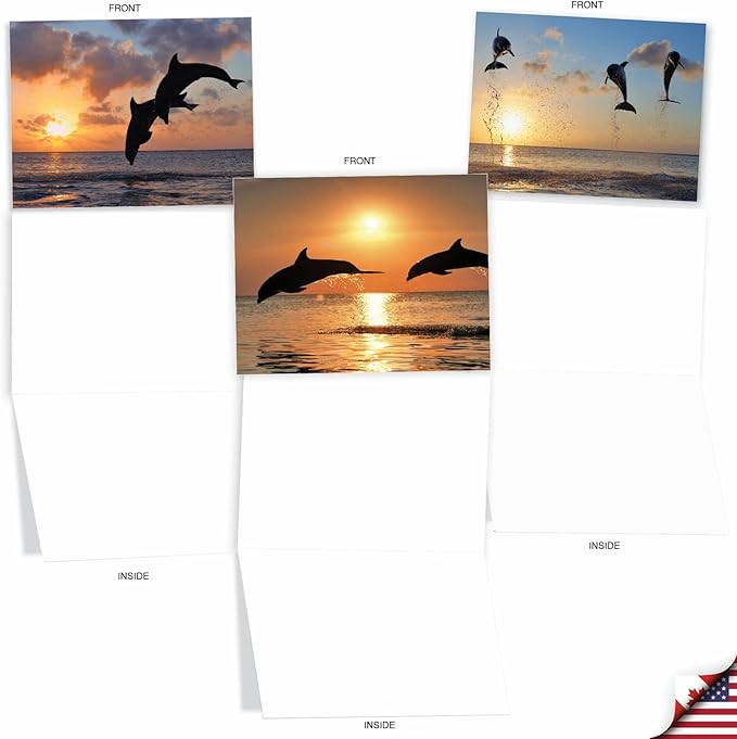 The Best Card Company - 10 Blank Animal Cards Boxed (4 x 5.12 Inch) - Assorted Pets, Zoo, Wildlife Cards for Kids - Sunset Dolphins M6460OCB-NB