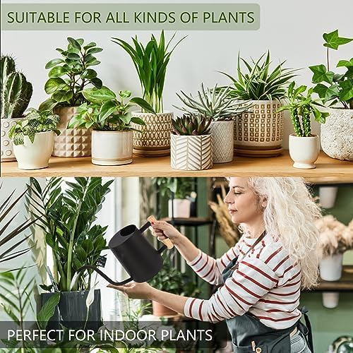 GUKJOB Plant Watering Can,35oz Metal Watering Can,Stainless Steel Indoor Plants with Long Curved Spout,Small Bonsai Outdoor Garden Modern Decorative(Black) - Image 4