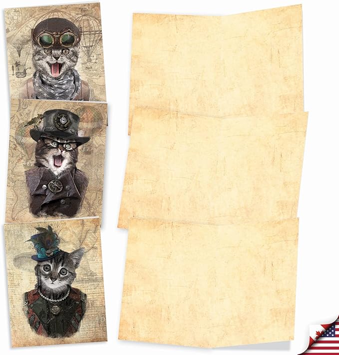 The Best Card Company - 10 Adorable Blank Cat Cards (4 x 5.12 Inch) - Cute Pet Kittens, Assorted Bulk Notecard Set - Steampunk Cats M6554OCB