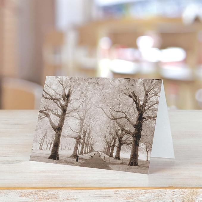 Breathtaking Landscape Note Card Pack / 36 Nature All Occasion Greeting Cards With White Envelopes Set / 6 Colorful Outdoor Scenery Designs / 3 1/2" x 4 7/8" All Occasion Sympathy Cards
