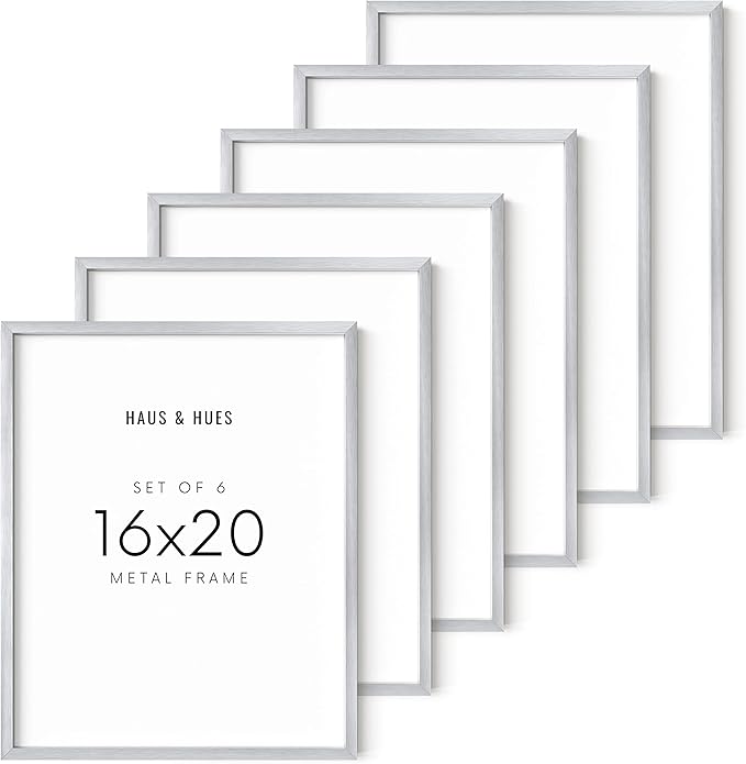 HAUS AND HUES 16x20 Silver Picture Frames - Set of 6 Modern Aluminum Frames for Posters and Gallery Walls (16x20 in, Silver, Set of 6)
