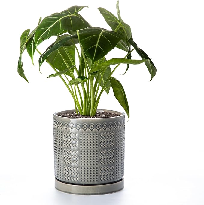 Indoor-Outdoor Ceramic Plant Pots: 8 Inch Flower Pots with Drainage Hole & Saucer - Decorative Ceramic Pots for Plants Herbs Succulents - Home Garden Patio Lawn Use (Grey)
