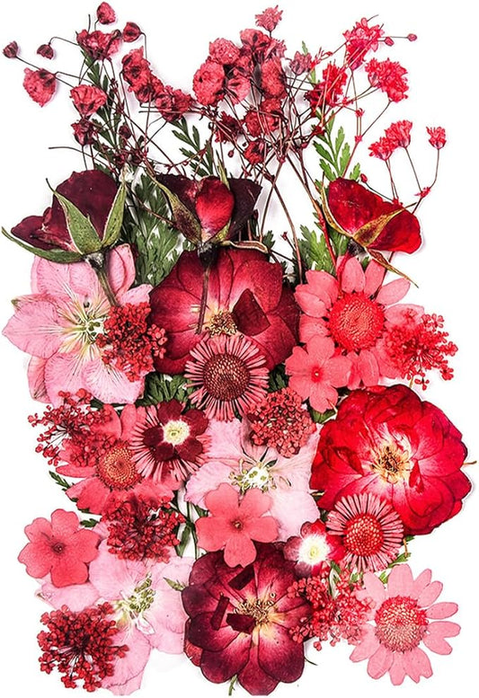15 Types 37pcs Red Dried Pressed Flowers for Resin Molds,YouthBro Real Natural Pressed Flowers for DIY Art Crafts,Candle Making, Nails Décor,Soap Making, Phone Case