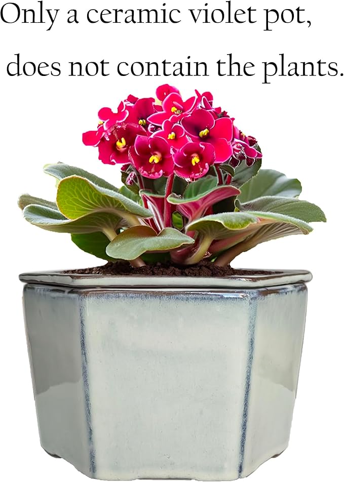 African Violet Pots 6 inch Hexagon Self-Watering Ceramic Violet Pots 4.50'' Opening (Cream White)