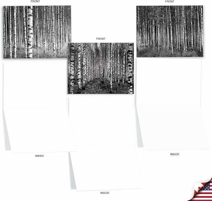 The Best Card Company - 10 Blank Note Cards with Envelopes (4 x 5.12 Inch) - Black & White Photos, Bulk Boxed Set - Whitewoods M6451OCB