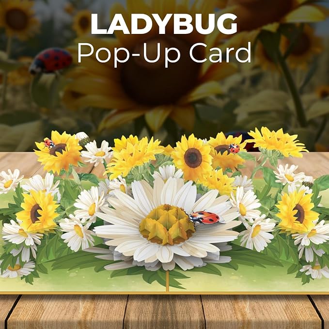 iGifts And Cards You Make the World Brighter Ladybug 3D Pop-Up Card – 6"x8" Sunflower & Daisy Bouquet with Notecard – Uplifting All-Occasion Greeting for Friends, Her, Encouragement, or Just Because